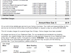 如何缴纳美国煤气费(gas, 天然气, 燃气费)，带你看真实的美国燃气费用价格